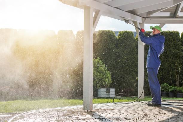 Best Fleet Vehicle Washing  in Tillson, NY