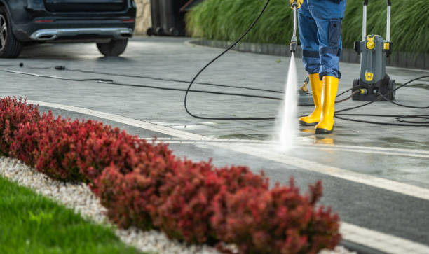 Best Pool Deck Cleaning  in Tillson, NY